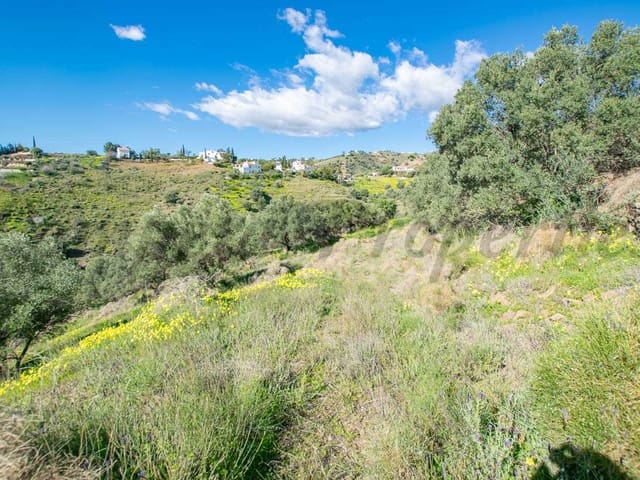 Image No.6-Terre à vendre à Sayalonga