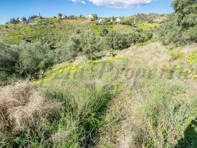 Image No.7-Terre à vendre à Sayalonga