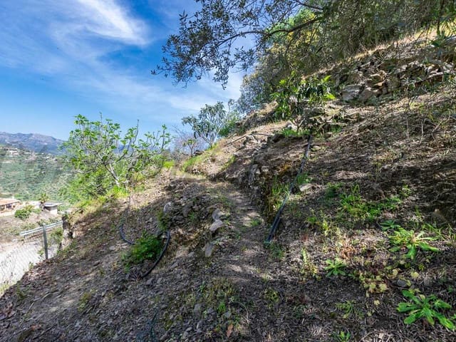 Image No.17-Finca de 3 chambres à vendre à Sayalonga