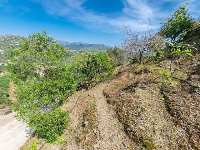 Image No.18-Finca de 3 chambres à vendre à Sayalonga