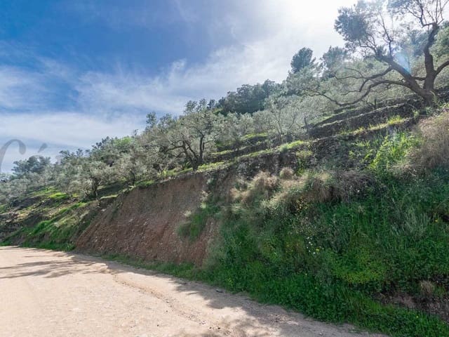 Image No.19-Finca de 3 chambres à vendre à Sayalonga