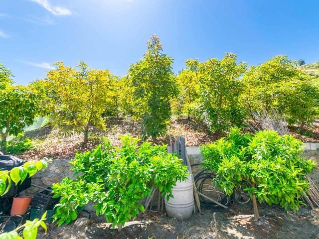 Image No.13-Finca for sale