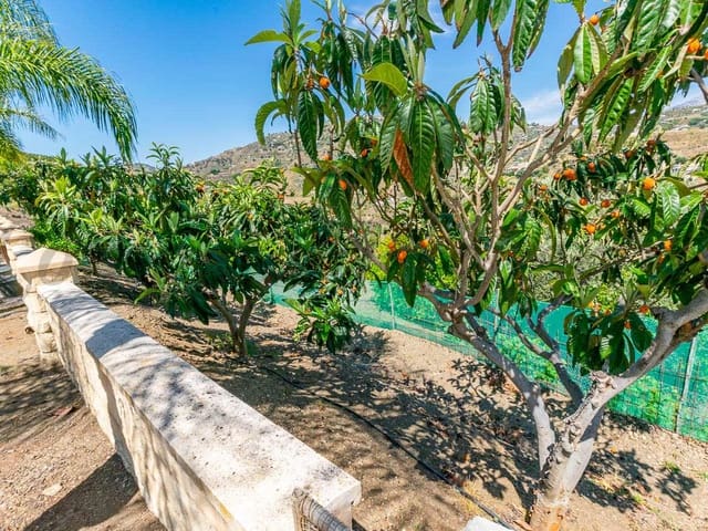 Image No.14-Finca for sale