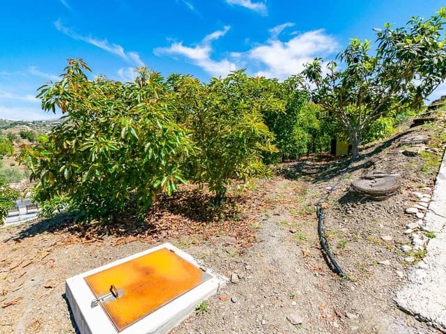 Image No.19-Finca for sale