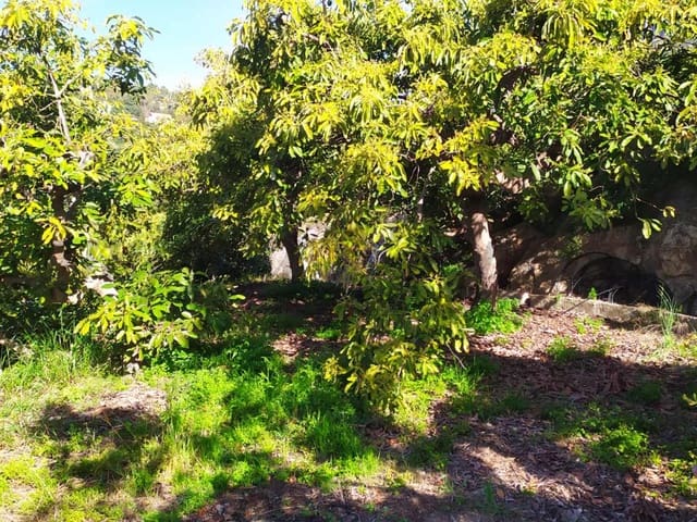 Image No.10-Land for sale