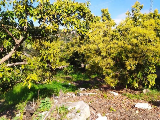 Image No.11-Land for sale