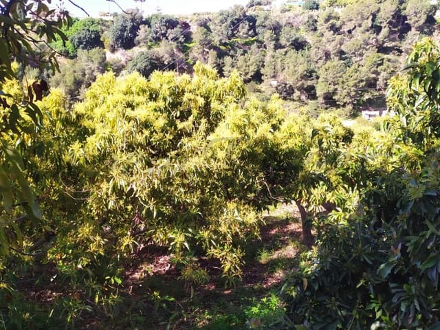 Image No.12-Land for sale