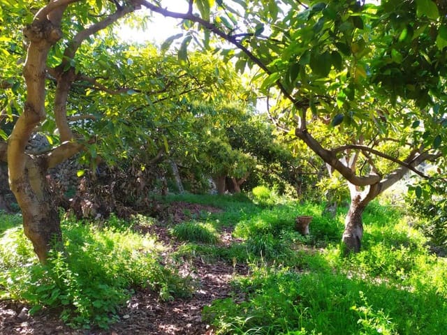 Image No.3-Land for sale