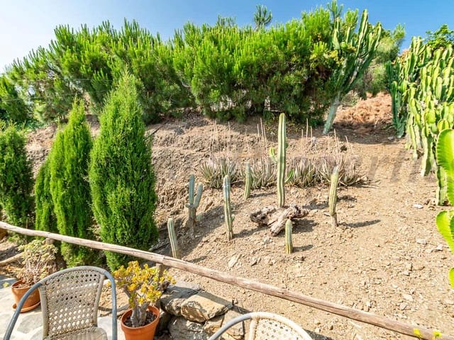 Image No.21-3 Bed Finca for sale