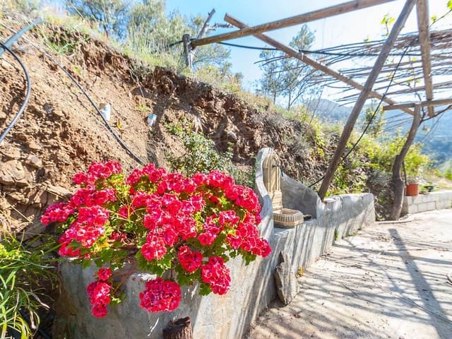 Image No.3-Finca de 2 chambres à vendre à Cómpeta