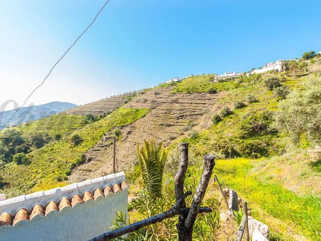 Image No.9-Finca de 2 chambres à vendre à Cómpeta