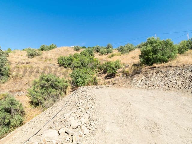 Image No.4-Finca à vendre à Torrox