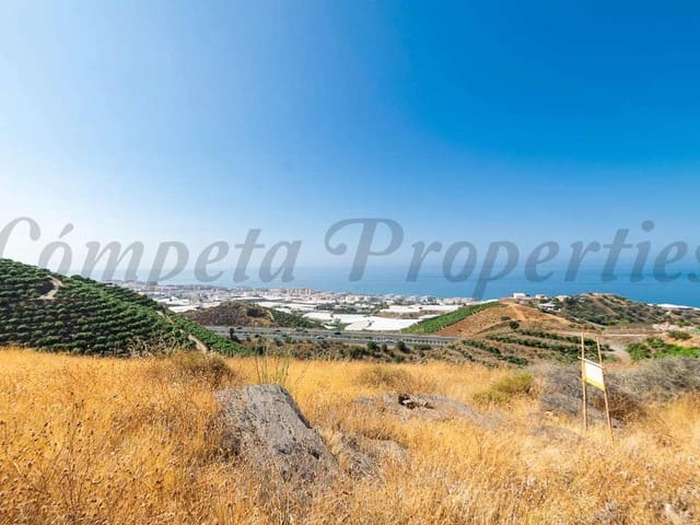 Image No.3-Terre à vendre à Torrox