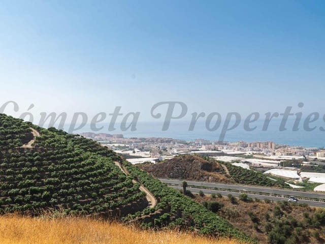 Image No.6-Terre à vendre à Torrox