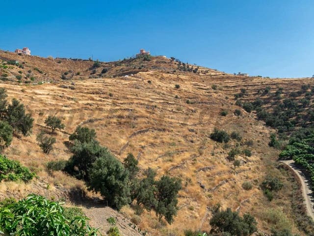 Image No.7-Terre à vendre à Torrox