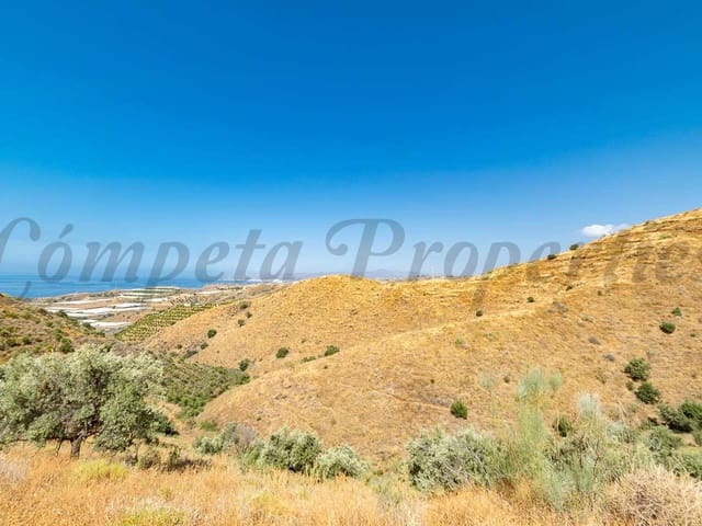 Image No.2-Terre à vendre à Torrox