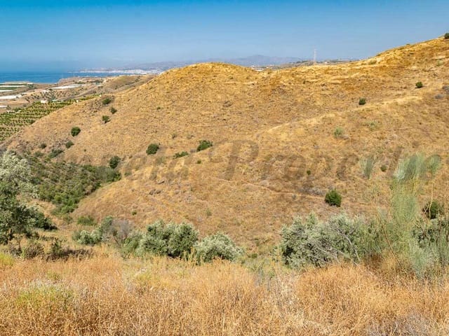 Image No.3-Terre à vendre à Torrox