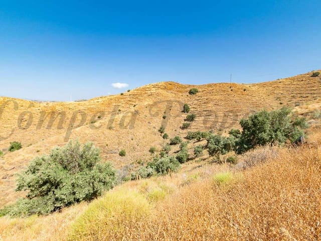 Image No.4-Terre à vendre à Torrox