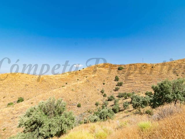 Image No.5-Terre à vendre à Torrox
