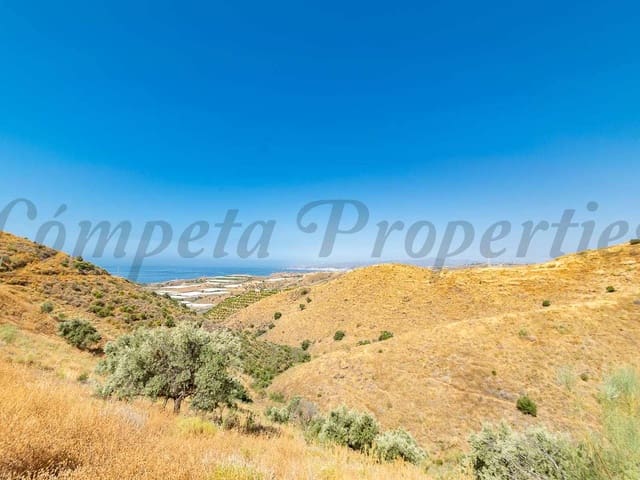 Image No.6-Terre à vendre à Torrox