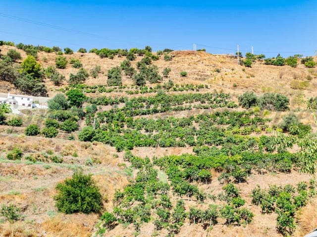 Image No.2-Land for sale