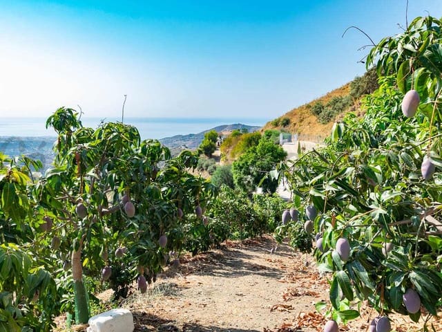 Image No.3-Land for sale