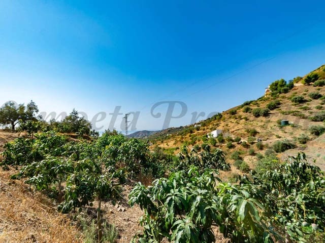 Image No.8-Land for sale