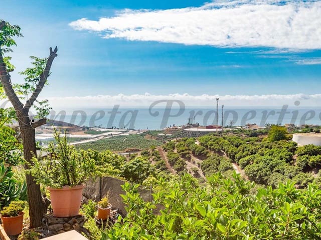 Image No.2-Finca de 3 chambres à vendre à Malaga