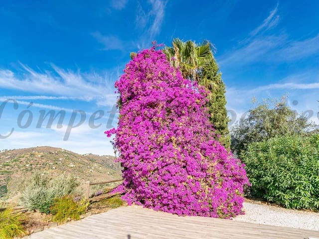 Image No.4-Villa de 3 chambres à vendre à Cómpeta