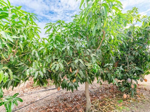 Image No.22-2 Bed Villa for sale