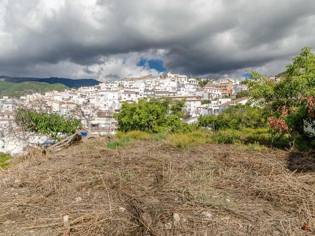 Image No.2-Terre à vendre à Canillas de Albaida