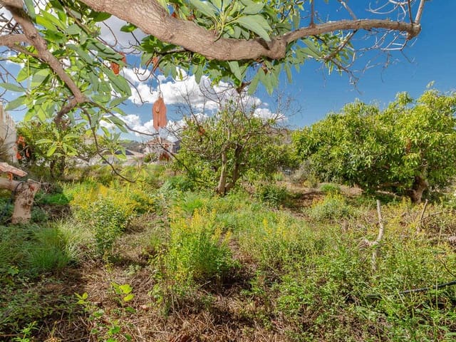 Image No.5-Terre à vendre à Canillas de Albaida