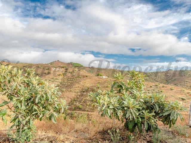 Image No.16-Finca de 11 chambres à vendre à Arenas