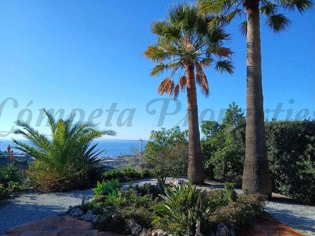 Image No.2-Finca de 2 chambres à vendre à Torrox