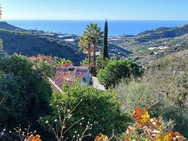 Image No.3-Finca de 2 chambres à vendre à Torrox