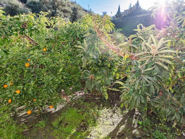 Image No.18-3 Bed Townhouse for sale