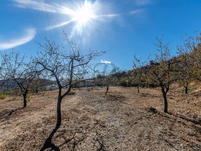 Image No.28-3 Bed Villa for sale