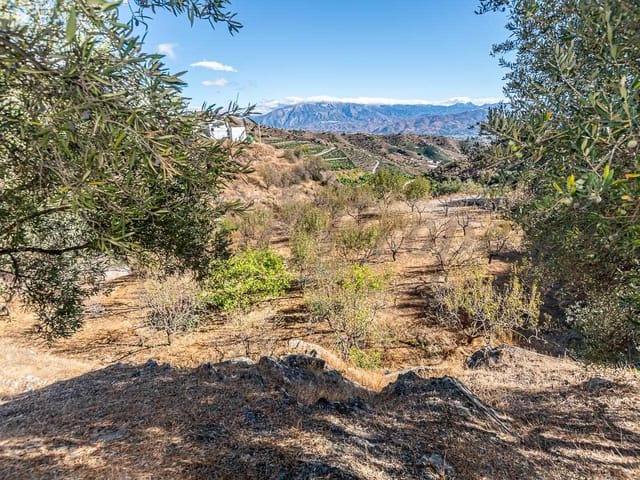 Image No.31-3 Bed Villa for sale