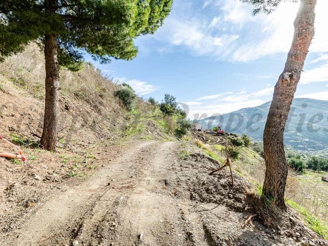 Image No.10-Finca à vendre à Cómpeta