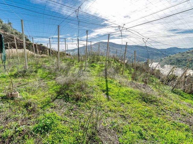 Image No.11-Finca à vendre à Cómpeta