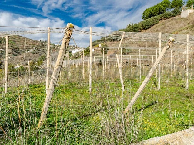 Image No.13-Finca à vendre à Cómpeta