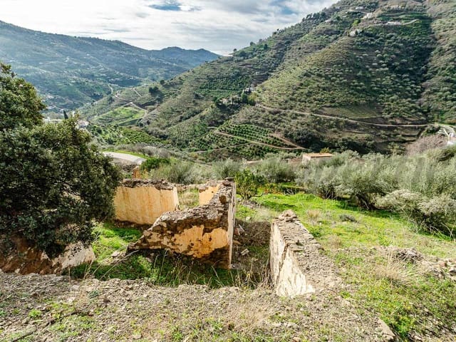 Image No.14-Finca à vendre à Cómpeta