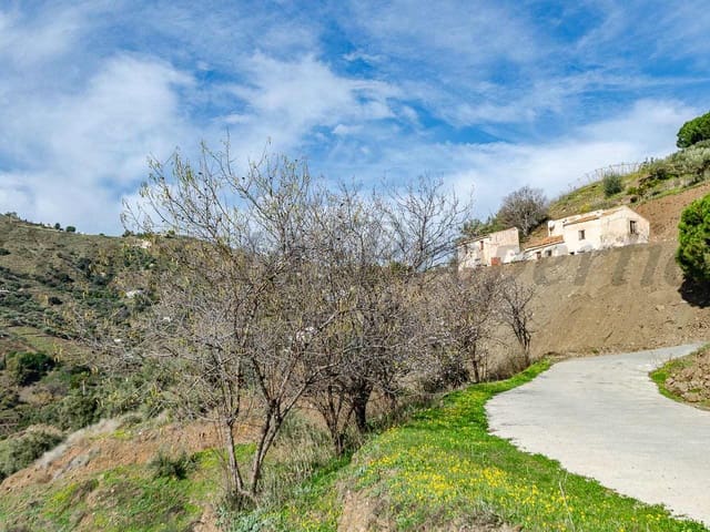 Image No.3-Finca à vendre à Cómpeta