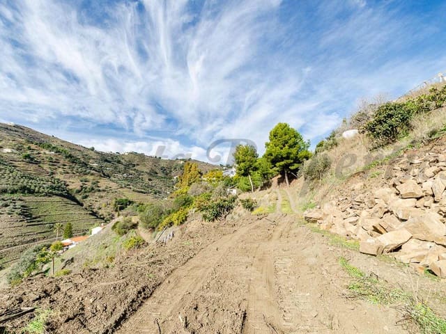 Image No.9-Finca à vendre à Cómpeta