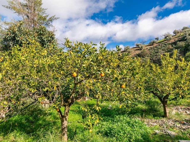 Image No.28-Villa de 5 chambres à vendre à Comares