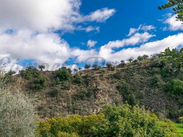 Image No.30-Villa de 5 chambres à vendre à Comares