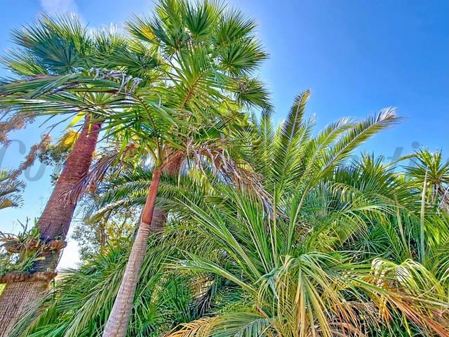 Image No.32-Villa de 4 chambres à vendre à Vélez-Málaga