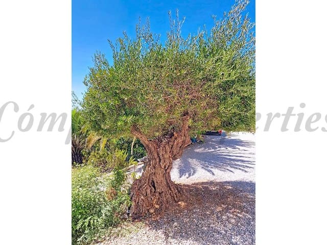 Image No.33-Villa de 4 chambres à vendre à Vélez-Málaga