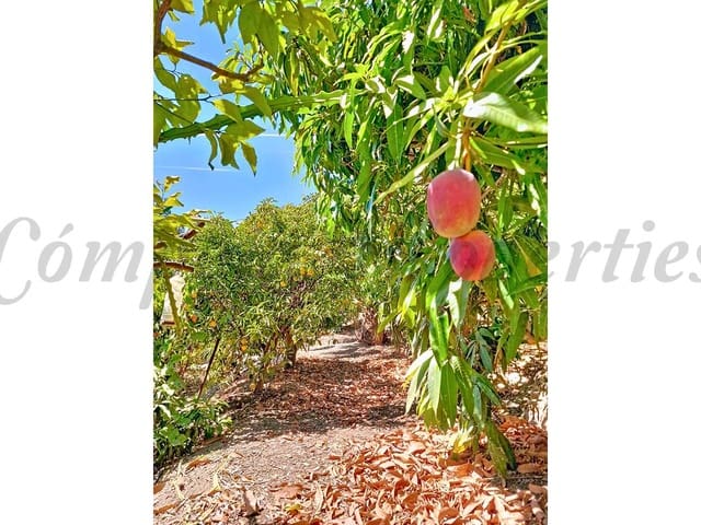 Image No.38-Villa de 4 chambres à vendre à Vélez-Málaga