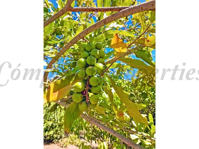 Image No.39-Villa de 4 chambres à vendre à Vélez-Málaga